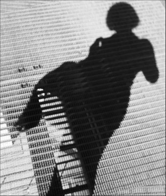 Zenker_Irena_Schatten