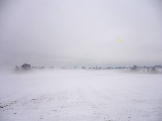 Zenker_Irena_Schneesturm