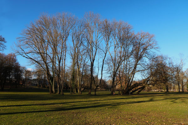 Zenker_Irena_Stadtpark