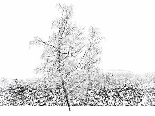Lotz_Andreas_Winterlandschaft