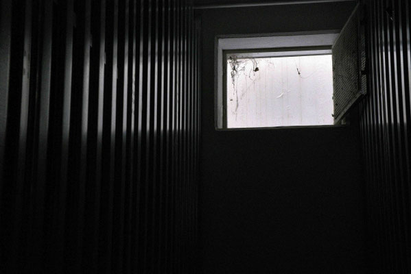 Guss_Berthold_Lichtblick_