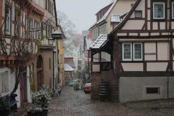Zenker_Irena_Altstadt