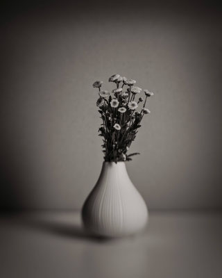 Drechsler_Peter_still_life-003