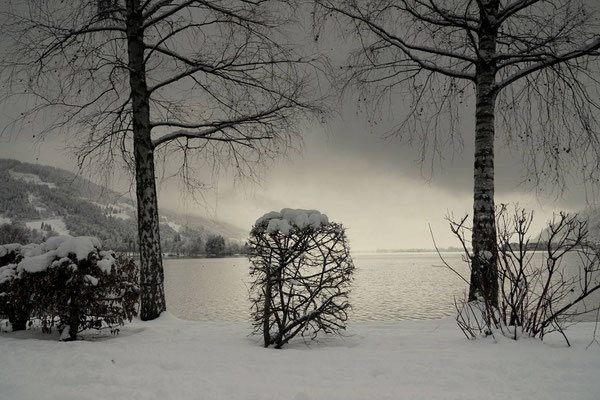 Oppenheimer_Dr_Christa_Am See