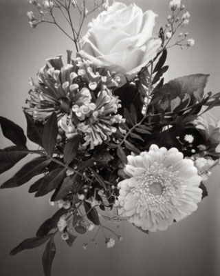 Drechsler_Peter_still_life-001