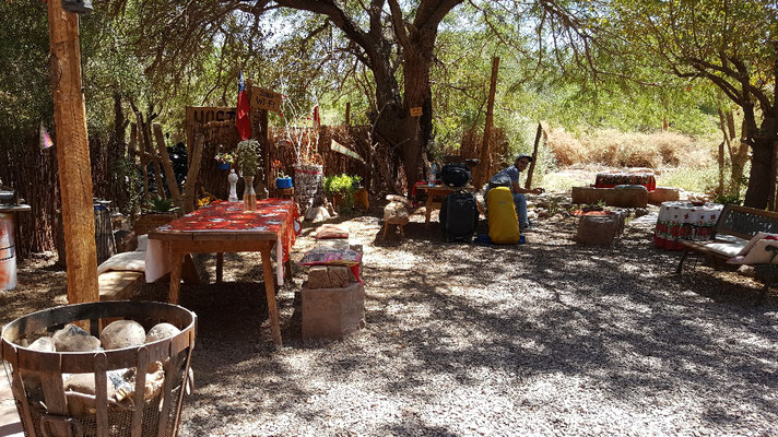 Unser Hostelgarten in San Pedro de Atacama