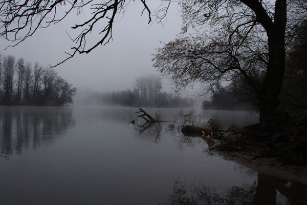 Morgendlicher Nebel
