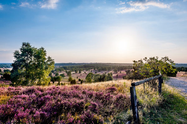 Lüneburger Heide