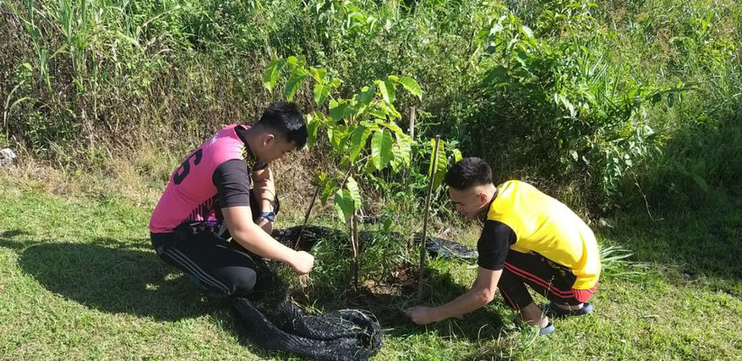 植林した苗木の草取りや水やりをしつつ、成長具合を記録