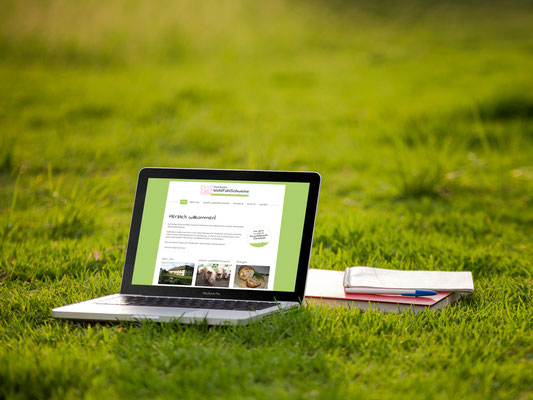 Homepage – Steinbacher WohlfühlSchweine