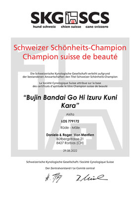 © Akita Zucht "of Büt Yama" | Schweizer Schönheits-Champion