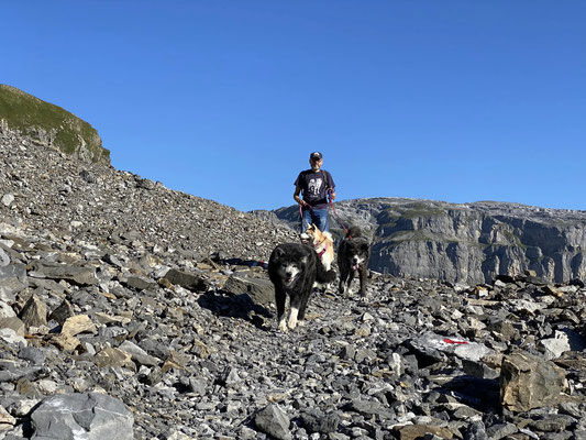 © Akita Zucht "of Büt Yama" | Wanderung zum Gletscherseeli