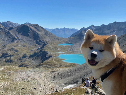 © Akita Zucht "of Büt Yama" | Wanderung Jöriflüelafurgga