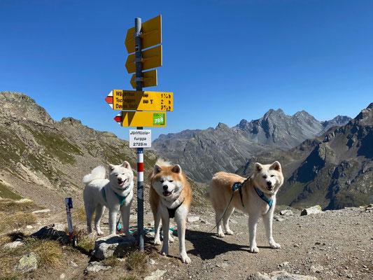 © Akita Zucht "of Büt Yama" | Wanderung Jöriflüelafurgga