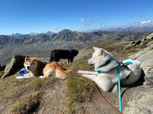 © Akita Zucht "of Büt Yama" | Wanderung Jöriseen