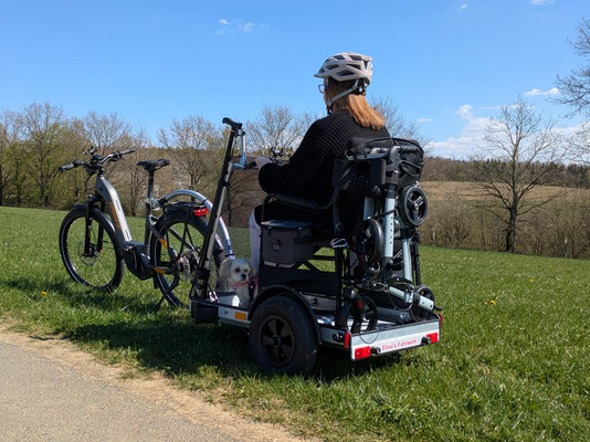 bei alle Citizen-Modellen findet sich die Möglichkeit einen Rollator mitzunehmen 