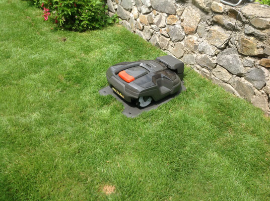 Impressionen - Perfekter Rasen