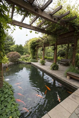 Koiteich mit Pergola