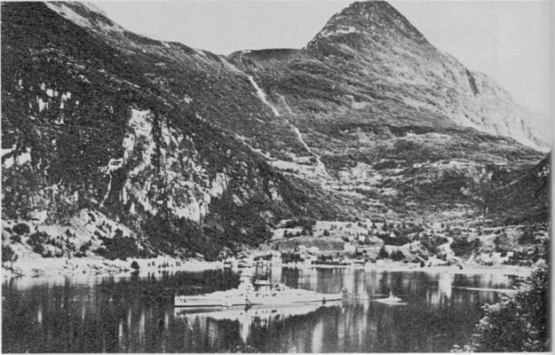 Sommer und die Schönheit der norwegischen Fjordlandschaft.