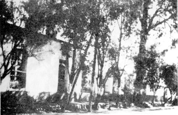 Mendoza - Weingut "Carrodilla".