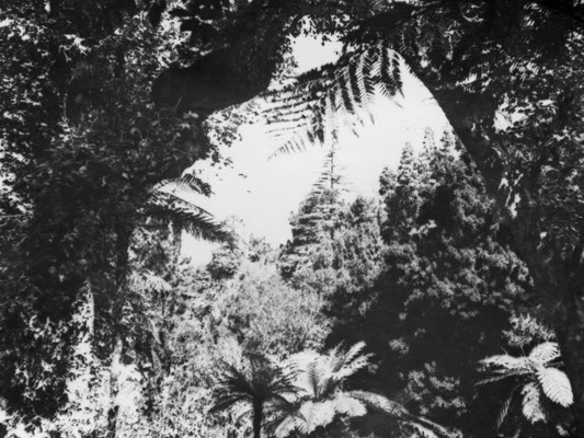 Der Garten von Monserrat.