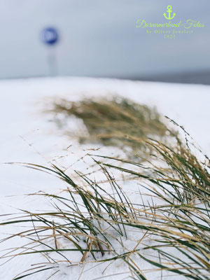 Winterzauber am Strand von Dornumersiel II