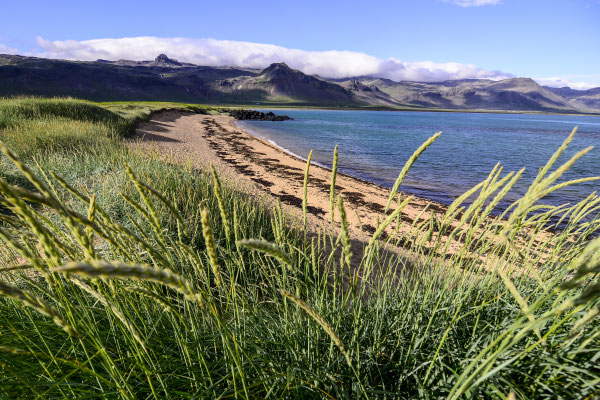 iceland coast line