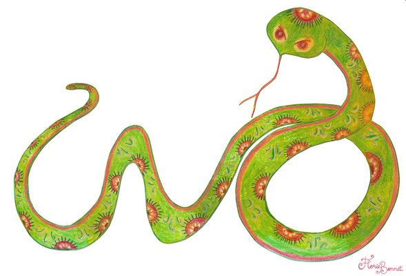 Serpent, 2013 - Crayons aquarellables sur papier