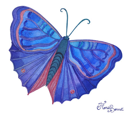 Papillon bleu, 2019 - Aquarelle sur papier