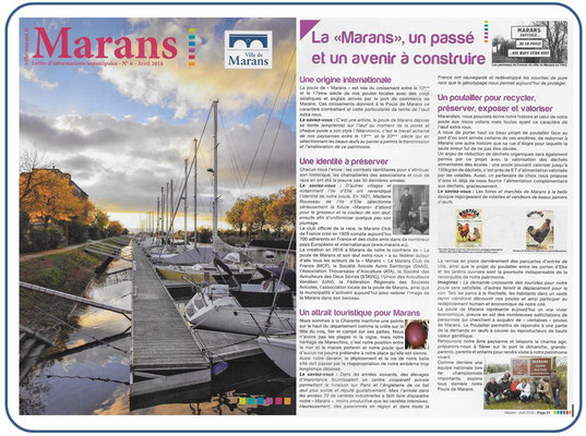 La Poule de Marans - Marans magazine - Juin 2018