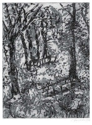Parklandschaft, 2010, Aquatinta, 20x15