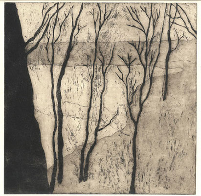 Bäume, 2007, Aquatinta, 25x25