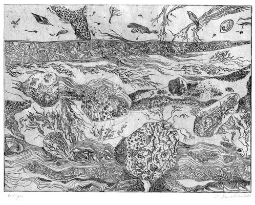 Erdiges, 2003, Strichätzung, 15x20