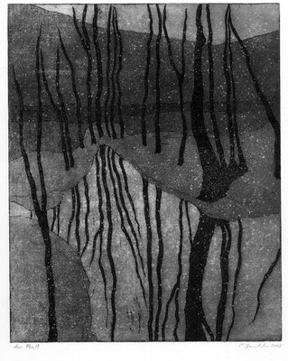 Am Fließ, 2008, Aquatinta, 20x15