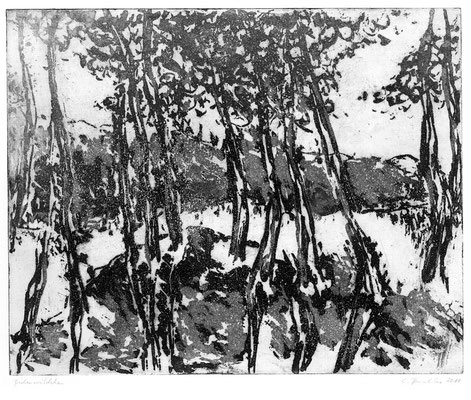 Birkenwäldchen, 2010, Reservage, 15x20