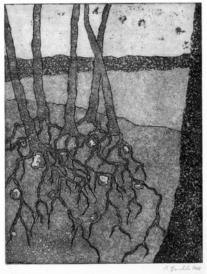 Traum, 2008, Aquatinta, 20x15