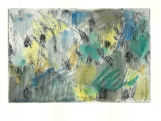 Gras, 2017, Radierung aquarelliert, 10x115cm