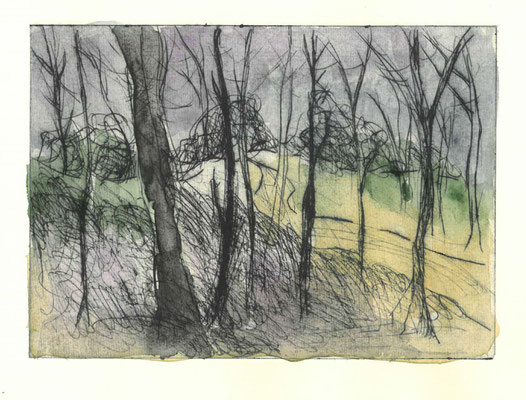 Dämmerung, 2018, Kaltnadel aquarelliert, 14,5x20,5cm
