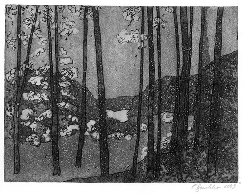Lichtung, 2009, Aquatinta, 15x20