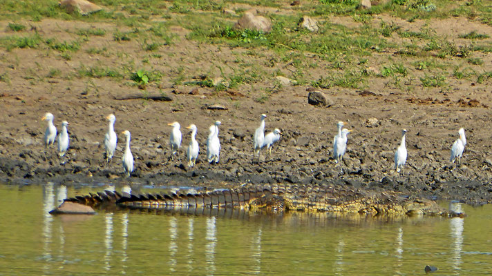 Peter´s Fotos 2020 - fotoclub-wuppertals Webseite!