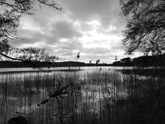 Peter Taubert: See in Mecklenburg