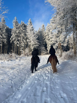 Winterfreuden