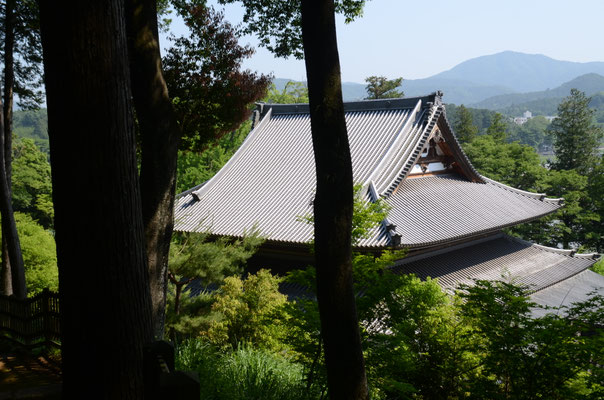 本堂と吾国山（夏２）