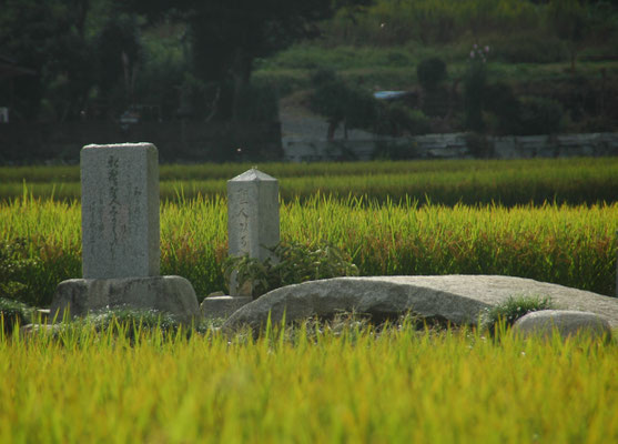 見返り橋（１）