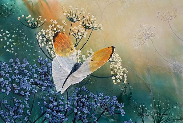 Ein Flügelschlag  120x80. Acryl auf Leinwand.     20253000