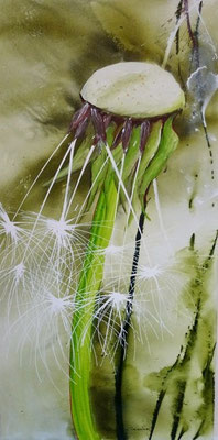 Pusteblume                50x100    Acryl auf Leinwand              2021790
