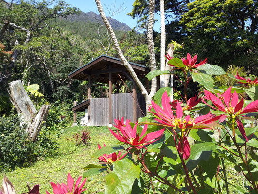 露天風呂     Outdoor hotspring bath building