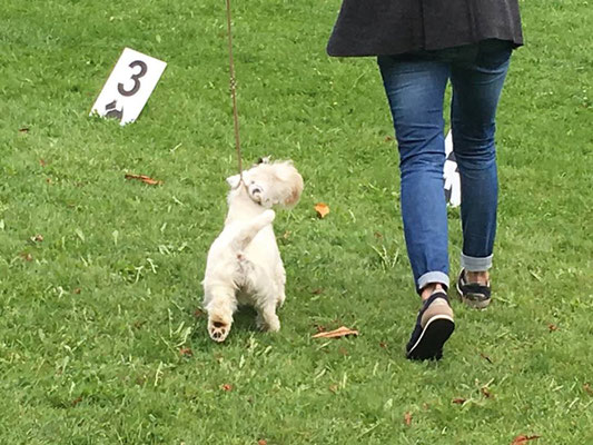 Smilla im Ring - fröhliches Sealy-Baby