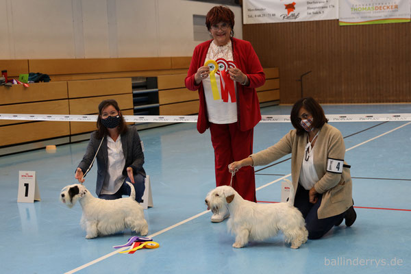 Smilla - BOS - Saarlandsiegerin - Terrierausstellung OG Merchweiler-Saarbrücken