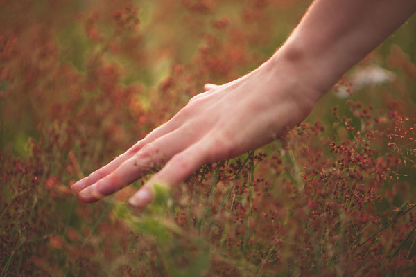 Personal Branding, Bedrijfsfotografie, Uden, Volkel, Noord Brabant. Bedrijfsfoto's